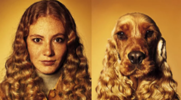 Look-alike reference